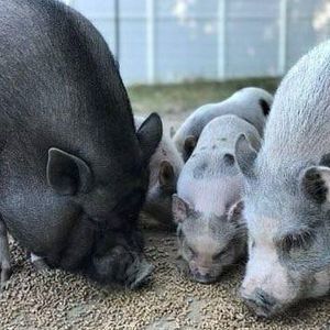 Meet your Posher, Ashleigh